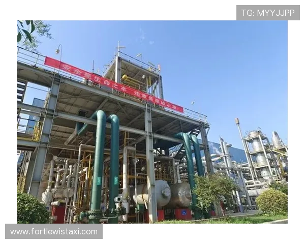 博鱼体育娱乐未来发展趋势与行业前景分析助你把握投资良机